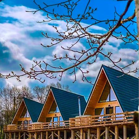 Cabana 365 Brasov Bagian luar foto