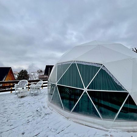 Cabana 365 Brasov Bagian luar foto