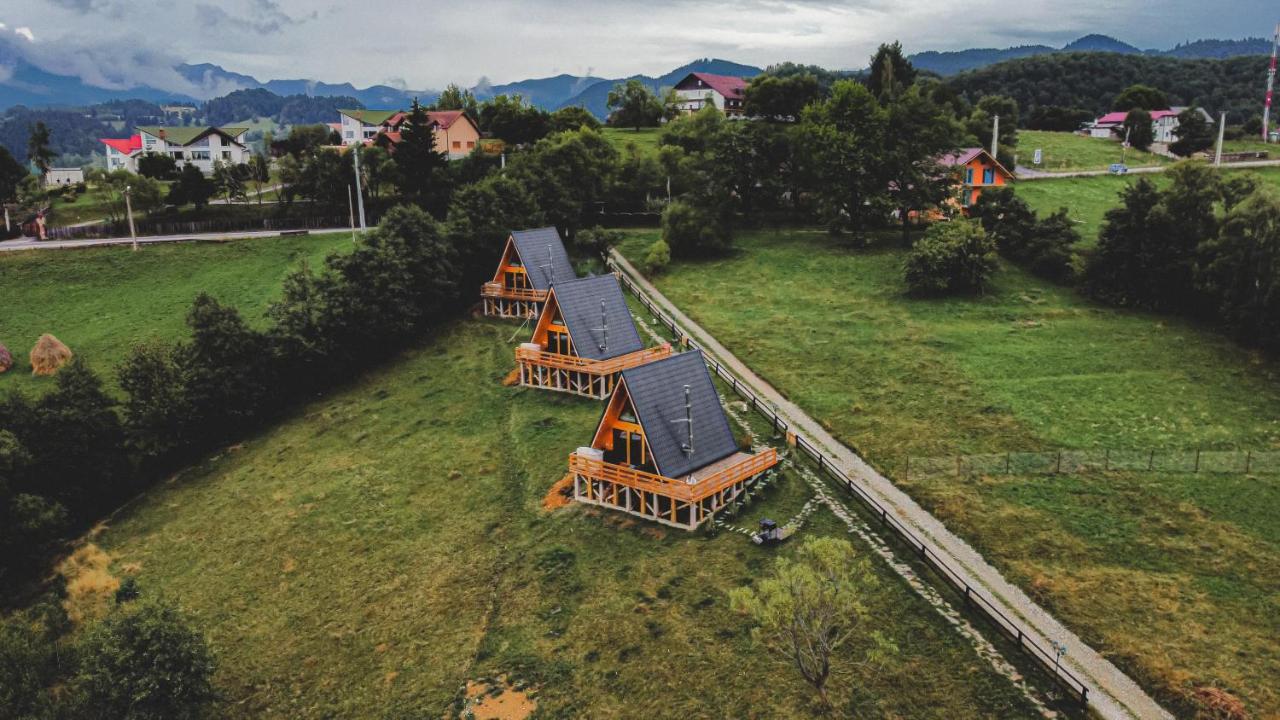 Cabana 365 Brasov Bagian luar foto