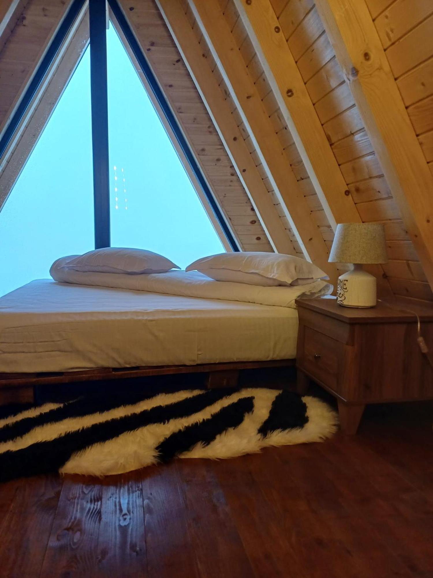 Cabana 365 Brasov Bagian luar foto