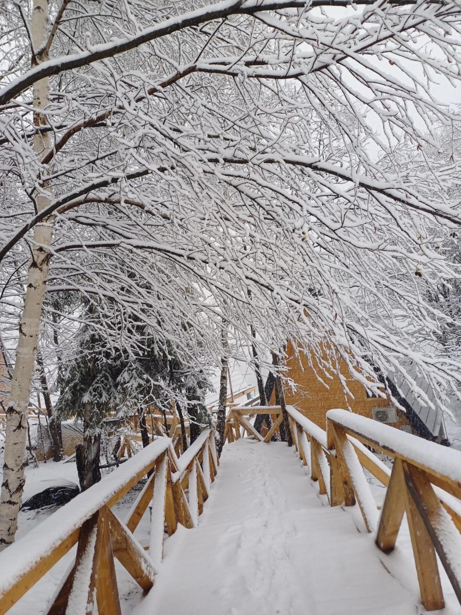 Cabana 365 Brasov Bagian luar foto