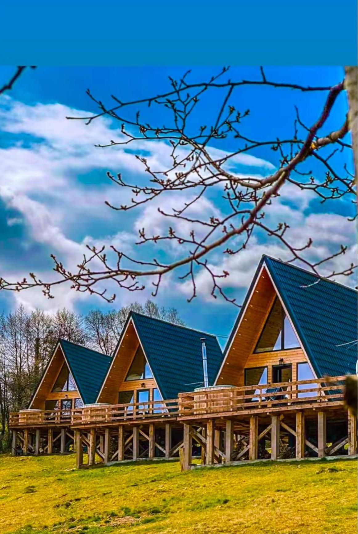 Cabana 365 Brasov Bagian luar foto
