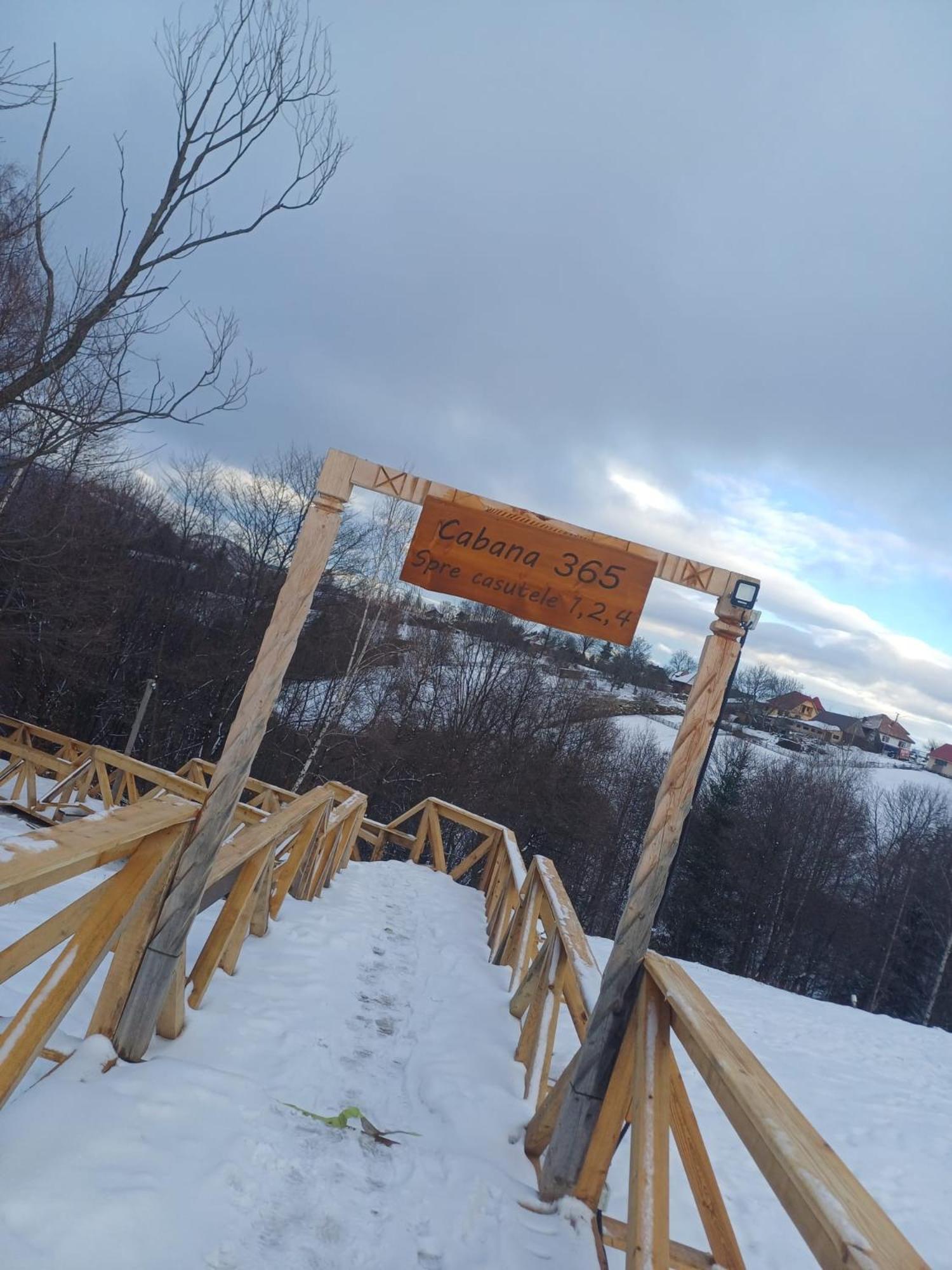 Cabana 365 Brasov Bagian luar foto