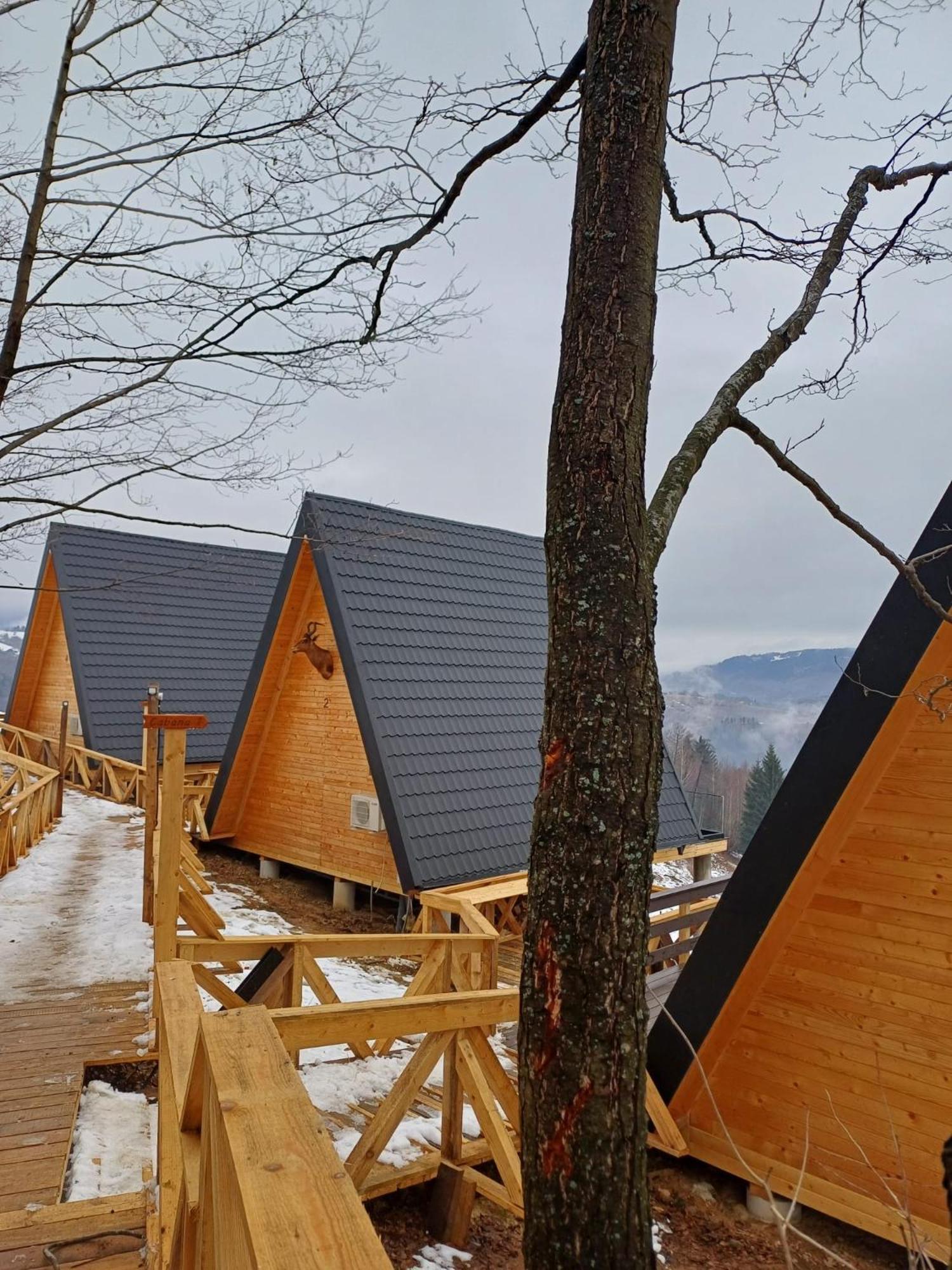 Cabana 365 Brasov Bagian luar foto