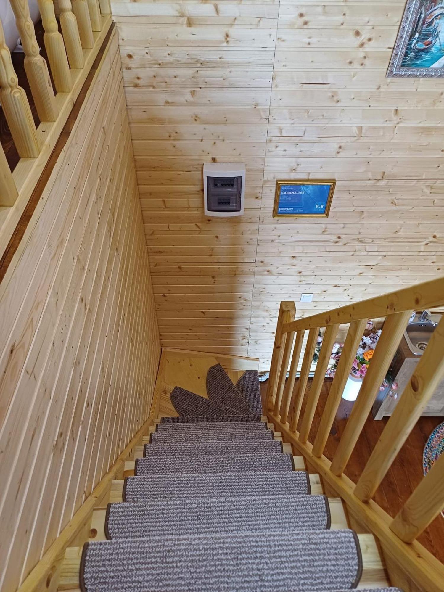 Cabana 365 Brasov Bagian luar foto