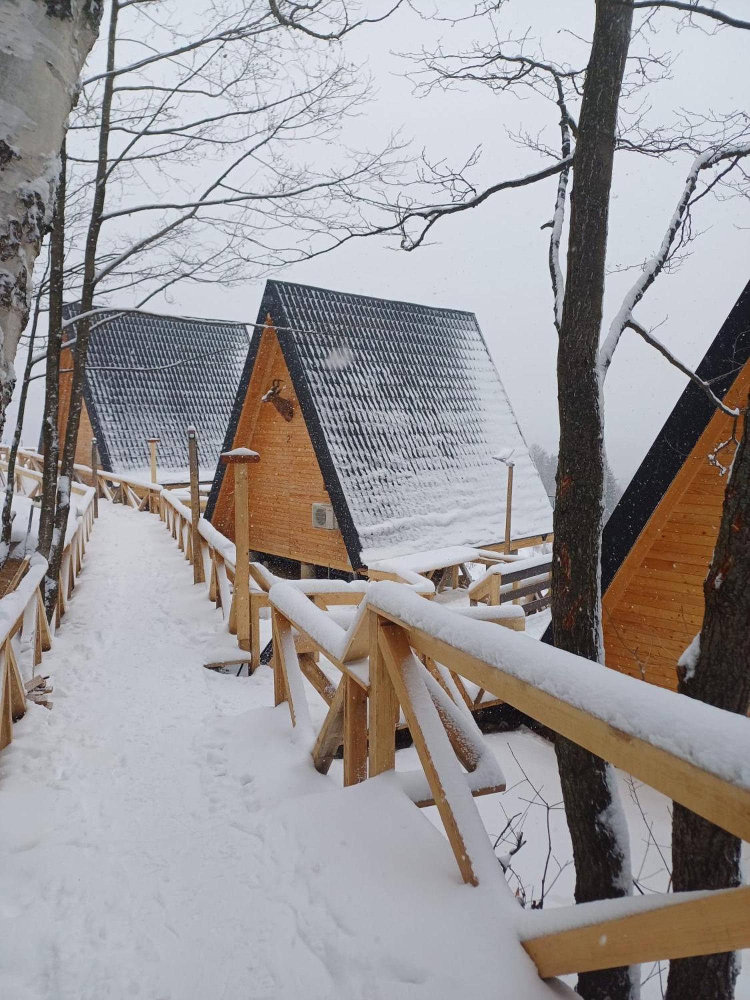 Cabana 365 Brasov Bagian luar foto