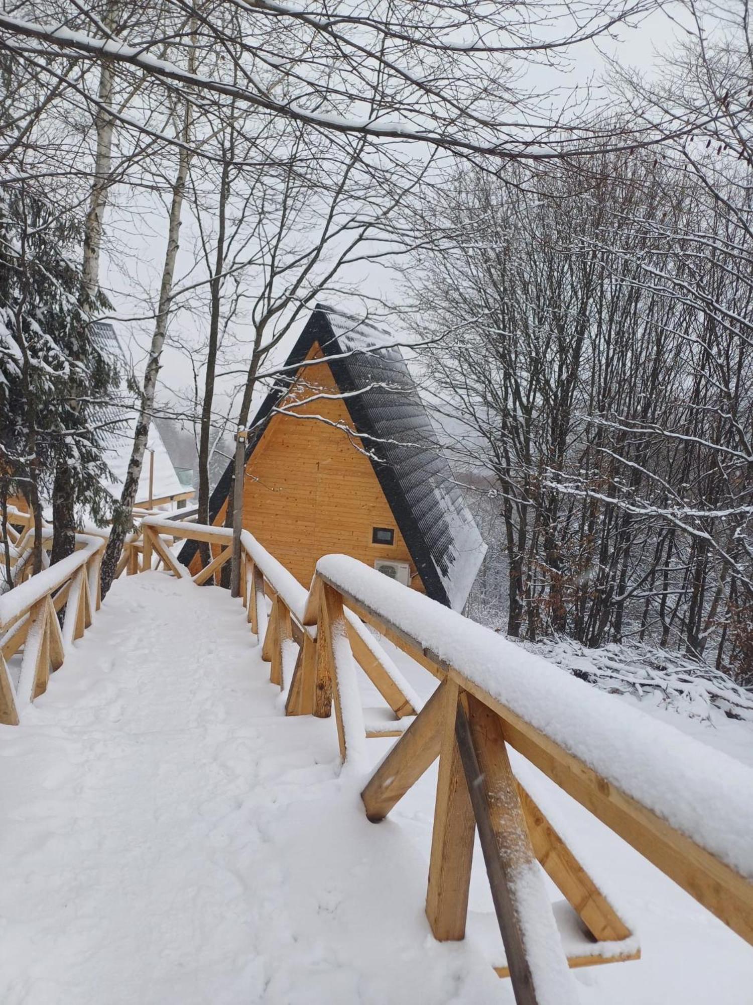 Cabana 365 Brasov Bagian luar foto